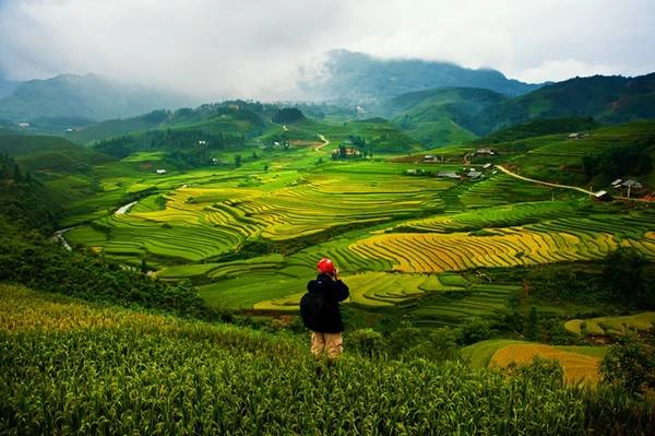 Đây là mùa đẹp nhất ở vùng núi cao Sa Pa, Lào Cai. Những cánh đồng ruộng bậc thang như những chiếc thang trời ở các bản làng Trung Chải, Sa Pả, Tả Phìn, Lao Chải, Nậm Cang, Tả Van, Hầu Thào..., luôn là điểm đến hấp dẫn đối với du khách trong và ngoài nước. Ảnh: Trần Việt Anh. Đây là mùa đẹp nhất ở vùng núi cao Sa Pa, Lào Cai. Những cánh đồng ruộng bậc thang như những chiếc thang trời ở các bản làng Trung Chải, Sa Pả, Tả Phìn, Lao Chải, Nậm Cang, Tả Van, Hầu Thào..., luôn là điểm đến hấp dẫn đối với du khách trong và ngoài nước. Ảnh: Trần Việt Anh.