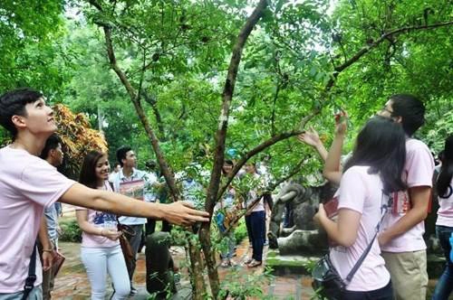  Du khách lạ lùng với cây ổi "biết cười" ở Thanh Hóa (Ảnh: Báo Thanh niên)