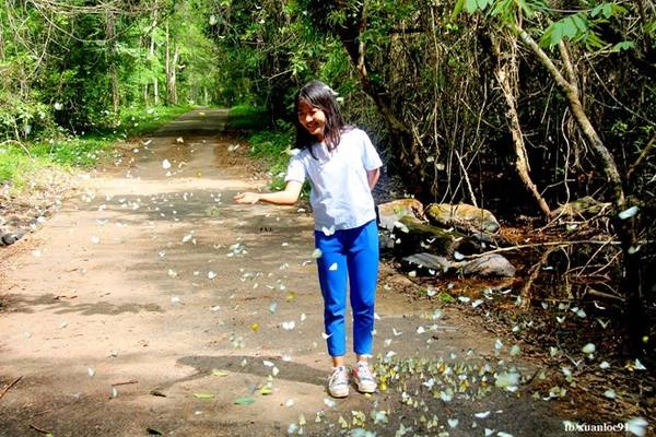 Mùa bướm làm cánh rừng già trở nên sống động và lãng mạn không khác gì cảnh phim. Mùa bướm làm cánh rừng già trở nên sống động và lãng mạn không khác gì cảnh phim.