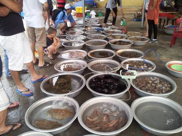 Hải sản được bày bán ở cù lao Chàm. Hải sản được bày bán ở cù lao Chàm.