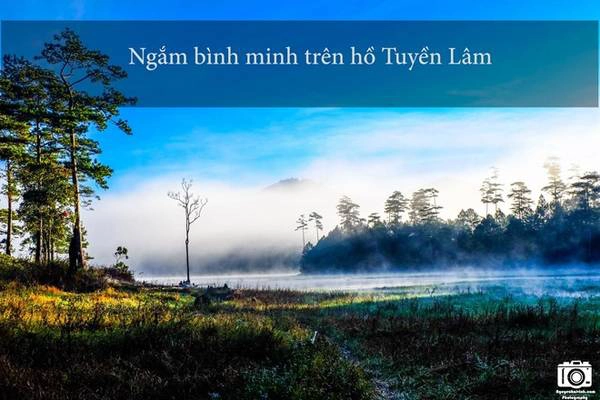 Bạn hãy  dậy rất sớm rồi đi bộ ra chỗ bến thuyền. Lúc bình mình trên hồ có sương mù dày đặc, phía xa là dãy núi Voi hùng vĩ càng làm cho khung cảnh nơi đây như một bức tranh thuỷ mặc tuyệt đẹp.