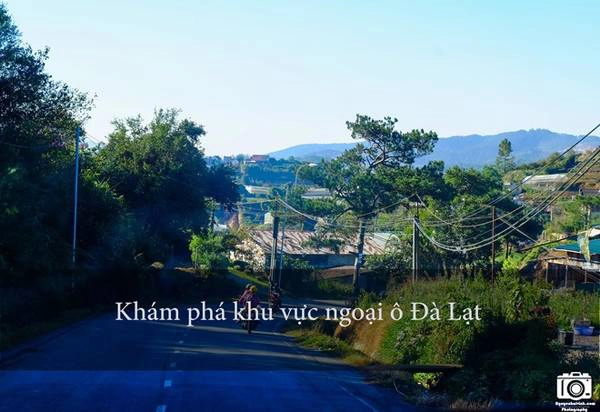 Phóng xe máy ra vùng ngoại ô của Đà Lạt, nơi có những cảnh đẹp khó có thể diễn tả bằng lời. Rất dễ thuê xe máy Đà Lạt, hầu như khách sạn nào cũng có dịch vụ này. Hoặc các bạn ra chợ Đà Lạt, có nhiều chỗ cho thuê lắm.