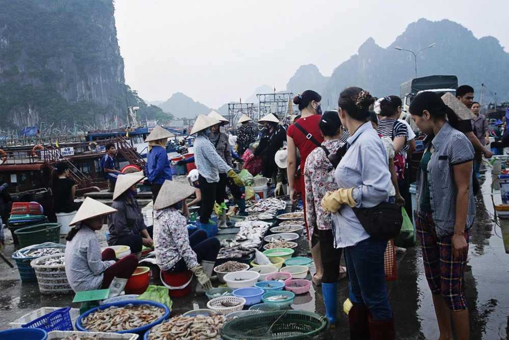 Chợ cá Cô Tô. Ảnh: Vnexpress