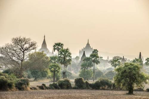 Bạn có thể đi từ Yangon đến Bagan bằng máy bay, buýt, tàu đều được. Tuy nhiên đi buýt đêm sẽ tận dung thời gian và có thể quan sát được nhiều hơn. Ảnh: sharkingforchipsanddrinks.