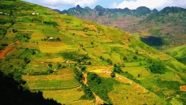 Ruộng bậc thang vào mùa lúa chín ấn tượng sâu sắc trong lòng du khách. Ảnh: Văn Giang. Ruộng bậc thang vào mùa lúa chín ấn tượng sâu sắc trong lòng du khách. Ảnh: Văn Giang.