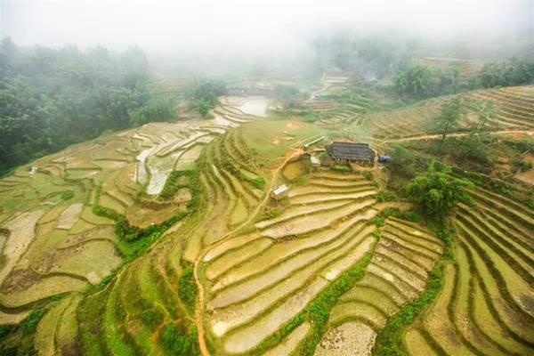 Dịp hè trùng với thời điểm mùa nước đổ trên những thửa ruộng bậc thang. Ngồi cáp treo lướt qua thung lũng Mường Hoa, du khách sẽ được chiêm ngưỡng những thửa ruộng bậc thang tầng tầng lớp lớp như một bức tranh lập thể giữa thiên nhiên. Hiếm hình thức du lịch nào có thể giúp du khách ngắm những đường cong tuyệt đẹp này từ độ cao hàng trăm mét. Dịp hè trùng với thời điểm mùa nước đổ trên những thửa ruộng bậc thang. Ngồi cáp treo lướt qua thung lũng Mường Hoa, du khách sẽ được chiêm ngưỡng những thửa ruộng bậc thang tầng tầng lớp lớp như một bức tranh lập thể giữa thiên nhiên. Hiếm hình thức du lịch nào có thể giúp du khách ngắm những đường cong tuyệt đẹp này từ độ cao hàng trăm mét.