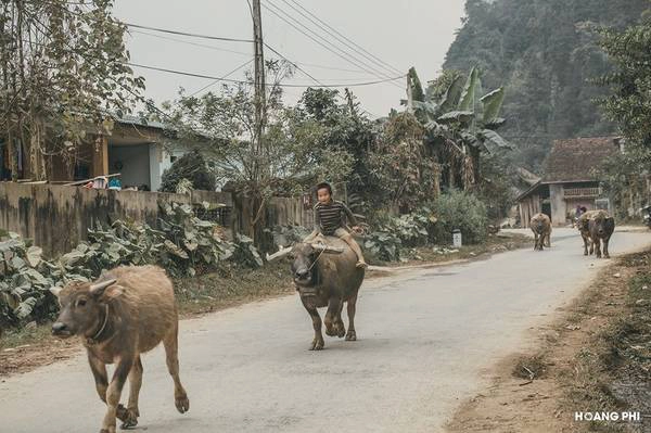 Bắc Hà là một huyện phía đông bắc của tỉnh Lào Cai, cách Hà Nội khoảng 300 km.