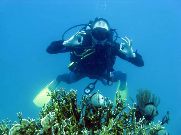 du lịch Nha Trang