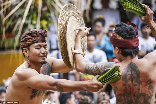 <strong>Usaba Sambah: </strong>Là một hoạt động trong lễ hội tháng 6, các chàng trai trẻ của vùng Tenganan (Indonesia) sẽ đóng khố và đấu võ. Họ sử dụng các cành cây với lá đầy gai để quật vào người nhau, chỉ với tấm khiên tre mỏng manh làm vũ khí tự vệ, nhằm gây ấn tượng cho “bạn đời tiềm năng”. Các cô gái sẽ ngồi trên một đu quay bằng gỗ và quan sát. Đu quay chỉ dừng lại khi trận đấu kết thúc. Ảnh: Daily Mail. <strong>Usaba Sambah: </strong>Là một hoạt động trong lễ hội tháng 6, các chàng trai trẻ của vùng Tenganan (Indonesia) sẽ đóng khố và đấu võ. Họ sử dụng các cành cây với lá đầy gai để quật vào người nhau, chỉ với tấm khiên tre mỏng manh làm vũ khí tự vệ, nhằm gây ấn tượng cho “bạn đời tiềm năng”. Các cô gái sẽ ngồi trên một đu quay bằng gỗ và quan sát. Đu quay chỉ dừng lại khi trận đấu kết thúc. Ảnh: Daily Mail.