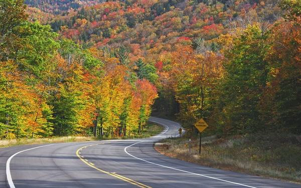 Đường cao tốc Kancamagus, New Hampshire: Vào mùa thu, tuyến đường Kancamagus dài gần 60 km trở nên lộng lẫy khi các vạt cây chuyển màu. Du khách tới đây vào tháng 10 sẽ được chiêm ngưỡng màu sắc rực rỡ của những cây phong, cây trăn và bạch dương. Vào mùa xuân, các thảm hoa vàng và cỏ chân ngỗng sinh sôi khắp nơi, tạo khung cảnh lãng mạn. Ảnh: Travelandleisure.