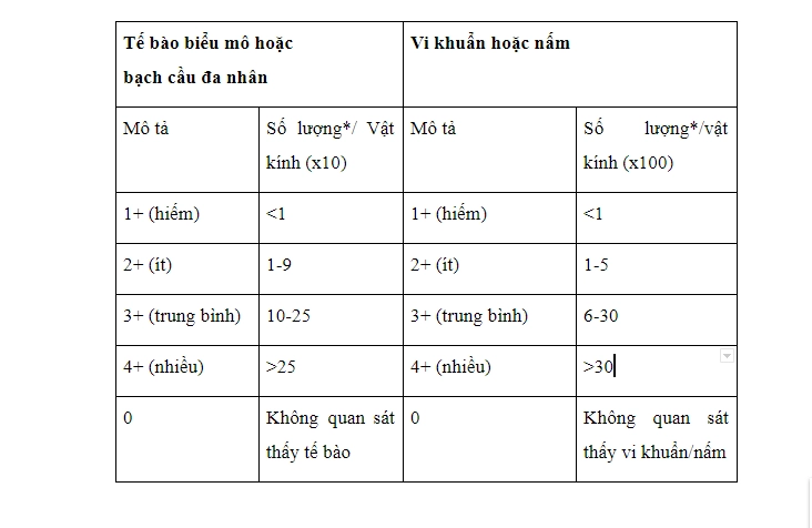 Kỹ thuật nhuộm gram nước tiểu