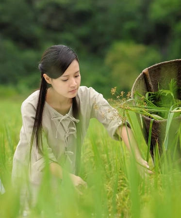 ninh-binh-dia-diem-vang-cua-nhieu-bo-phim-dinh-dam-ivivu-7