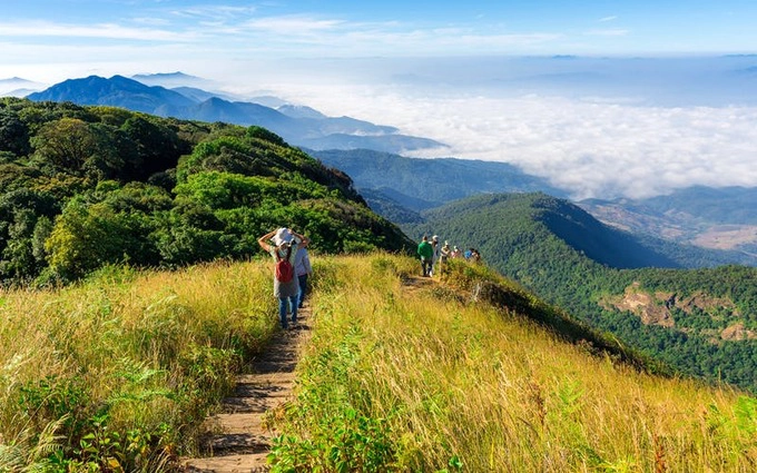 Sau khi ngắm mặt trời mọc, bạn có thể bắt đầu chuyến trekking theo đường mòn bên trong công viên để chiêm ngưỡng vẻ đẹp hùng vĩ của núi đồi nơi đây. Sau khi ngắm mặt trời mọc, bạn có thể bắt đầu chuyến trekking theo đường mòn bên trong công viên để chiêm ngưỡng vẻ đẹp hùng vĩ của núi đồi nơi đây.