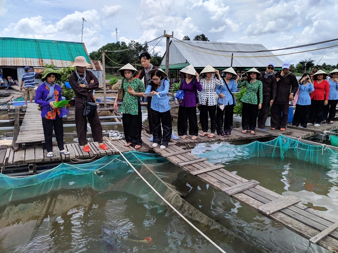 Hiện bè của ông Bon nuôi hàng chục loại cá đặc sản nước ngọt như cá hồng thuỷ, cá chạch lấu, cá hô, cá éc, cá lăng, cá vồ đém, cá xác sọc… Nhiều loài cá lạ khác du khách có thể tham quan tại đây gồm hồng vỹ mỏ vịt, cá cọp, cá Koi ngũ sắc, trê hồng, Hỏa Long (chạch lửa).