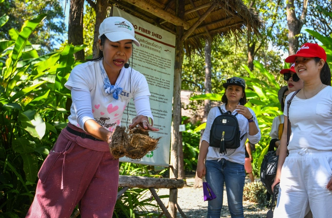 Cee - hướng dẫn viên của Elephant Poopoopaper giới thiệu với du khách các bước xử lý phân voi. Các công đoạn gồm phơi khô, luộc lại qua nước để lọc lấy xơ, nhuộm màu, dàn ra khung và tiếp tục phơi khô.