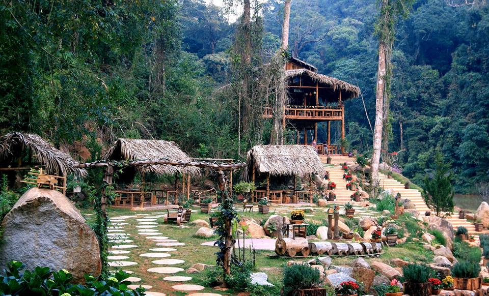 Ảnh: FB Hoa Điền Sơn Trang Ảnh: FB Hoa Điền Sơn Trang