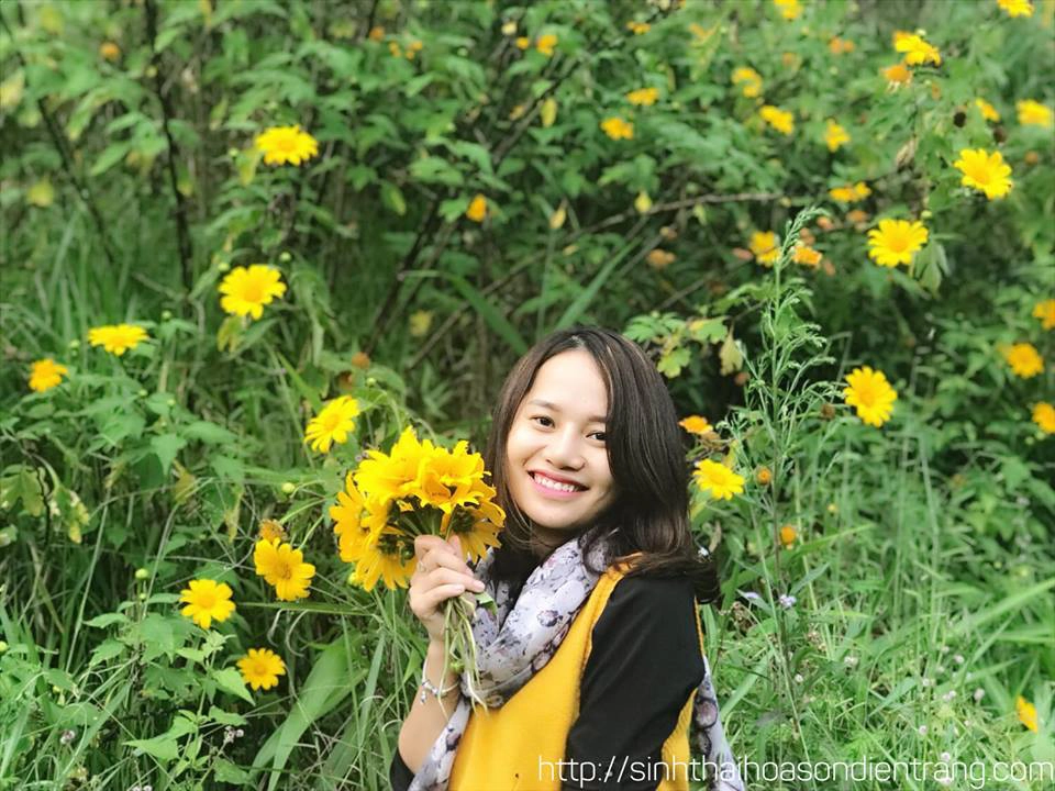 hoa-son-dien-trang-ivivu-3