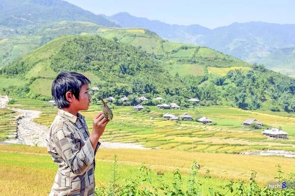 Trò chơi của lũ trẻ luôn gắn với thiên nhiên khoáng đạt và trong lành. Trò chơi của lũ trẻ luôn gắn với thiên nhiên khoáng đạt và trong lành.