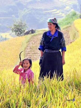 Các bé từ nhỏ cũng phải phụ giúp gia đình. Các bé từ nhỏ cũng phải phụ giúp gia đình.