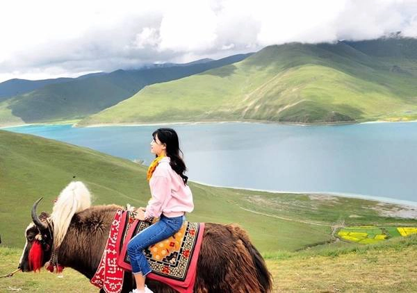 Giá tour không cố định Huyền Thu chọn mua tour để được hỗ trợ về ngôn ngữ và các yếu tố khác thay vì phải tự “mò”. Giá tour phụ thuộc vào số lượng người trong đoàn, càng đông càng rẻ. Ngoài ra giá còn phụ thuộc vào lịch trình, những nơi cần đến. Nếu bạn không quan tâm nhiều tới Phật giáo, thích thắng cảnh thiên nhiên hơn, có thể yêu cầu rút bớt lịch trình để mức giá rẻ hơn. Giá tour Huyền Thu đi thời điểm tháng 8 là 860 USD một người, đoàn có 14 người. Có hai loại tour để lựa chọn: Tour tiếng Anh hoặc tiếng Trung. Tour tiếng Trung đắt gấp hai lần giá tour tiếng Anh. Và giá tour chỉ bao gồm ăn sáng ở khách sạn, còn bữa trưa và tối các bạn phải tự lo.