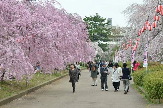 130418_sendai_10