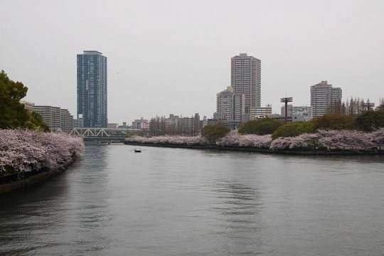 130402_osaka_01_Okawa river