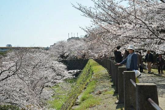 130321_fukuoka_12