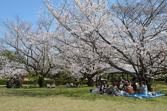 130321_fukuoka_13