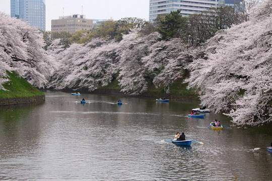 130325_tokyo_08