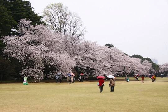 130325_tokyo_12