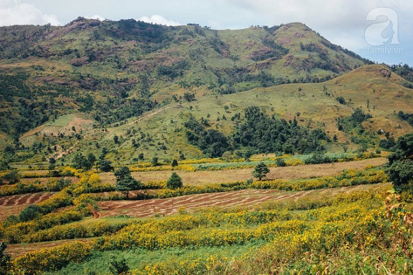 o-viet-nam-co-mot-diem-den-tho-mong-va-lang-man-chang-kem-da-lat-nhat-dinh-nen-den-trong-dip-cuoi-nam-ivivu-11