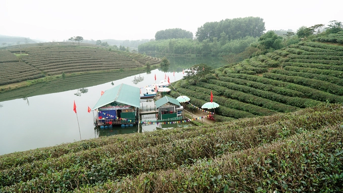 Với đồi chè Mộc Châu, Thái Nguyên hay Đà Lạt, du khách có thể đi bộ vào chơi ở những cánh đồng bát ngát, trải dài tít tắp thì Thanh Chương sẽ làm bạn ngạc nhiên khi để tham quan, bạn phải ngồi thuyền.