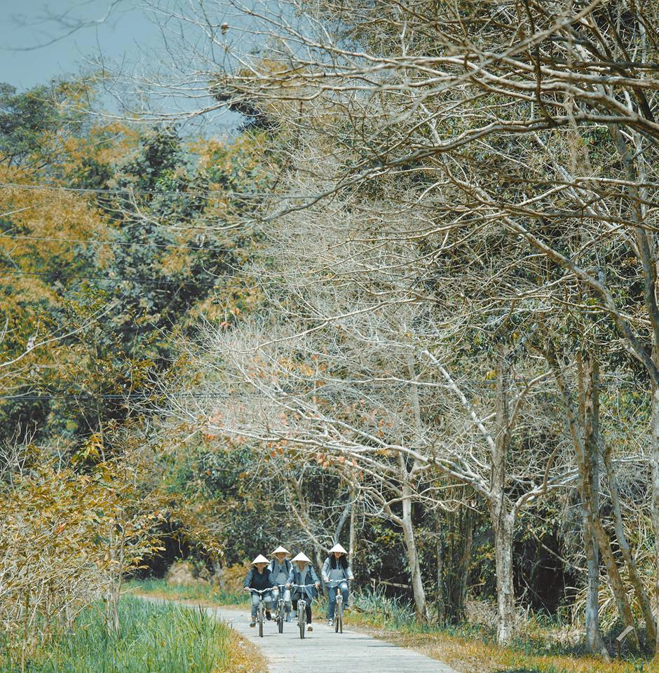 orchard-home-resort-nam-cat-tien-ivivu-8