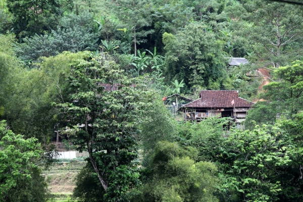 Bình yên - Ảnh: Giang Nguyên