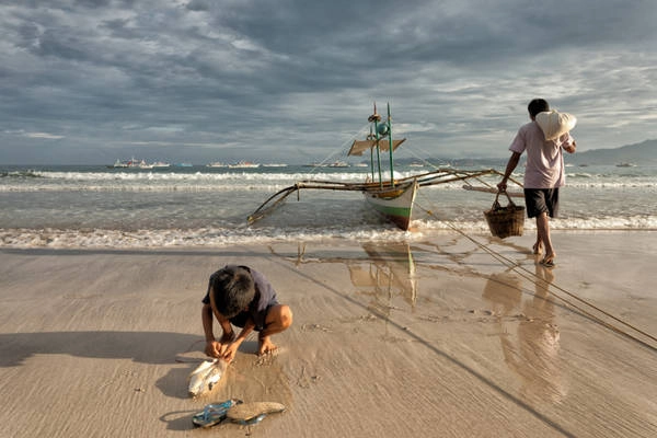 <strong>Đánh bắt cá:</strong> Ngoài nông nghiệp và săn bắn, đánh bắt cá là một trong những hoạt động kinh tế chính của Palawan. Khoảng 45% nguồn cung cấp cá của Manila đến từ khu vực này. <strong>Đánh bắt cá:</strong> Ngoài nông nghiệp và săn bắn, đánh bắt cá là một trong những hoạt động kinh tế chính của Palawan. Khoảng 45% nguồn cung cấp cá của Manila đến từ khu vực này.