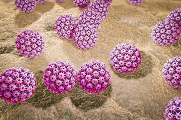 Virus HPV lây lan qua đường tình dục