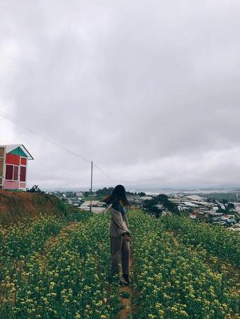 Ảnh: Sunny Farm