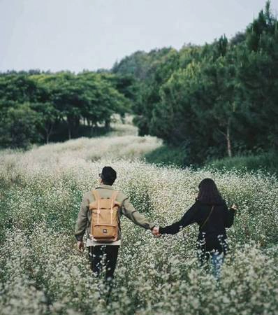 Ảnh: Dâu Tây Ảnh: Dâu Tây