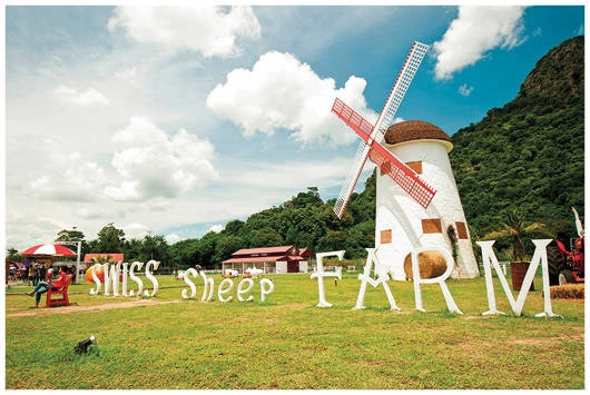 Swiss sheep farm