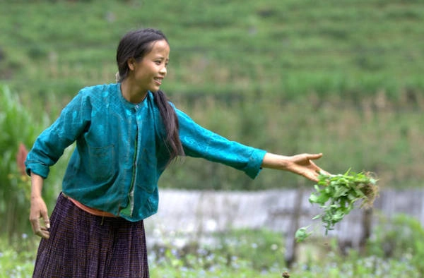 Cô gái trên cánh đồng hoa màu - Ảnh: MUM Cô gái trên cánh đồng hoa màu - Ảnh: MUM