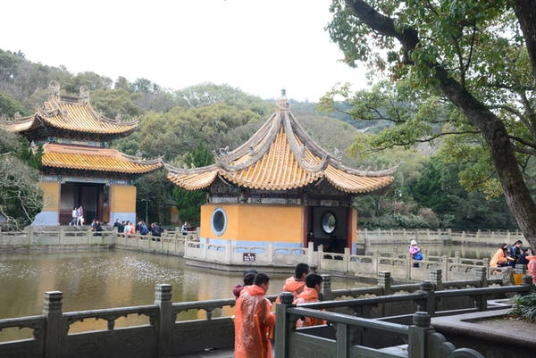 Có sân sảnh rộng, phía trước còn có hồ nước, mùa hè bông súng đua nhau nở, đây là cụm cảnh được xếp vào 12 cảnh đẹp của Phổ Đà “Liên Trì Dạ Nguyệt”. Có sân sảnh rộng, phía trước còn có hồ nước, mùa hè bông súng đua nhau nở, đây là cụm cảnh được xếp vào 12 cảnh đẹp của Phổ Đà “Liên Trì Dạ Nguyệt”.