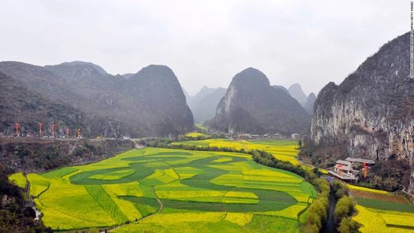 Những cánh đồng hoa cải tuyệt đẹp nằm lọt giữa những ngọn núi đá vôi gần thành phố An Thuận. Những cánh đồng hoa cải tuyệt đẹp nằm lọt giữa những ngọn núi đá vôi gần thành phố An Thuận.