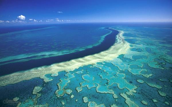 Nằm ngoài khơi Queenland, phía Đông Bắc Australia, hệ sinh thái dài 2.300 km của Great Barrier có vô số rạn đá ngầm, hàng trăm hòn đảo với hơn 600 loại san hô và hàng nghìn động vật biển. Ảnh: Australiangeographic. Nằm ngoài khơi Queenland, phía Đông Bắc Australia, hệ sinh thái dài 2.300 km của Great Barrier có vô số rạn đá ngầm, hàng trăm hòn đảo với hơn 600 loại san hô và hàng nghìn động vật biển. Ảnh: Australiangeographic.