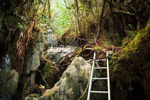 2. Vườn quốc gia Gunung Mulu (Miri, Sarawak, Malaysia): Được UNESCO công nhận là di sản thế giới vào năm 2000, vườn quốc gia Gunung Mulu là một báu vật của khu vực Đông Nam Á. Hệ thống hang động vô cùng độc đáo, được đánh giá rất cao nhờ vào vẻ đẹp nguyên sơ của các cột nhũ đá. Đây là kết quả của quá trình phong hóa đá tự nhiên từ hàng triệu năm trước, như hang Sarawak là hang ngầm tự nhiên lớn nhất thế giới và hang Nước Trong là một trong những hang dài bậc nhất ở Đông Nam Á.