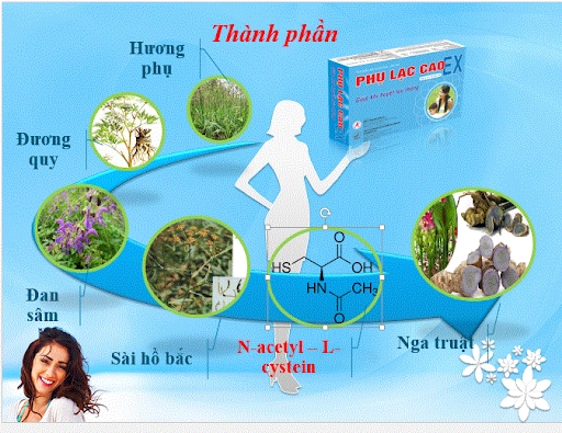 Sự kết hợp hài hòa của các thành phần trong Phụ Lạc Cao EX giúp cải thiện đau bụng kinh, lạc nội mạc tử cung hiệu quả