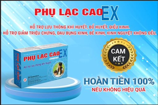 Sự kết hợp hài hòa của các thành phần trong Phụ Lạc Cao EX giúp cải thiện đau bụng kinh, lạc nội mạc tử cung hiệu quả