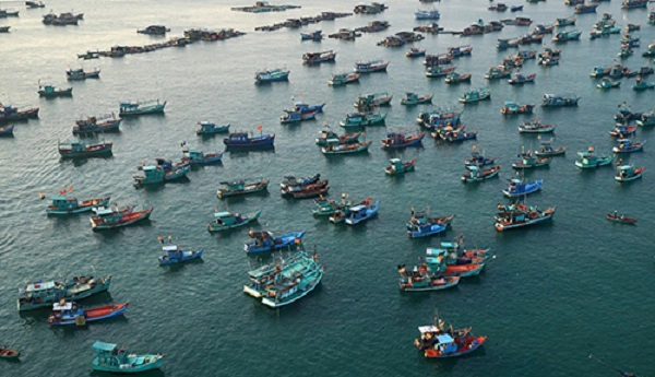 Sắp tới, tập đoàn sẽ có thêm nhiều hạng mục mới trong quần thể vui chơi giải trí biển này được đưa vào hoạt động như Làng biển với những vườn cây trái xum xuê hàng trăm năm tuổi cho du khách tham quan, hái quả. Hàng nghìn cây ăn trái cũng sẽ tiếp tục được trồng thêm tại Hòn Thơm, để gia tăng trải nghiệm du lịch xanh cho du khách.
