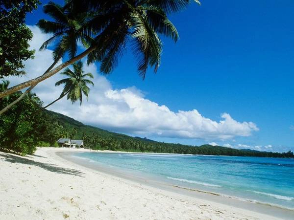 <strong>5. Petite Anse, La Digue, Seychelles: </strong>Petite Anse tựa như bãi biển hẻo lánh của Robin Crusoe với bãi cát hình vành trăng khuyết, tô điểm bằng những rặng dừa. Bãi biển còn hoang sơ đến mức phương tiện vận chuyển chủ yếu là những chiếc xe bò kéo, và chỉ có 4 nhà hàng trên cả hòn đảo. <strong>5. Petite Anse, La Digue, Seychelles: </strong>Petite Anse tựa như bãi biển hẻo lánh của Robin Crusoe với bãi cát hình vành trăng khuyết, tô điểm bằng những rặng dừa. Bãi biển còn hoang sơ đến mức phương tiện vận chuyển chủ yếu là những chiếc xe bò kéo, và chỉ có 4 nhà hàng trên cả hòn đảo.