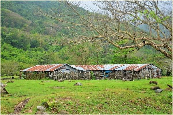 Có thể nói huyện Tuy An là trung tâm phát triển du lịch của Phú Yên, vì ở đây tập trung một số điểm đến nổi tiếng như gành Đá Đĩa, Bãi Xép, khu du lịch Sao Việt, đầm Ô Loan... 