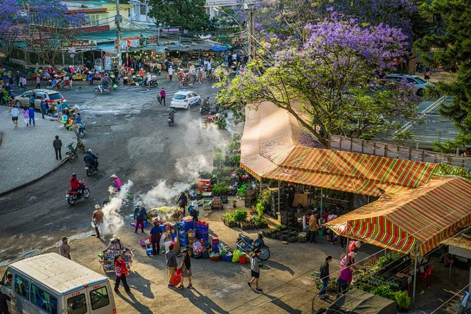 Các địa điểm du lịch như chợ Đà Lạt (ảnh), Thiền viện Trúc Lâm hay Thung lũng Tình yêu cũng được tô điểm bởi vẻ đẹp mơ màng của những cây phượng tím vào mùa trổ hoa.